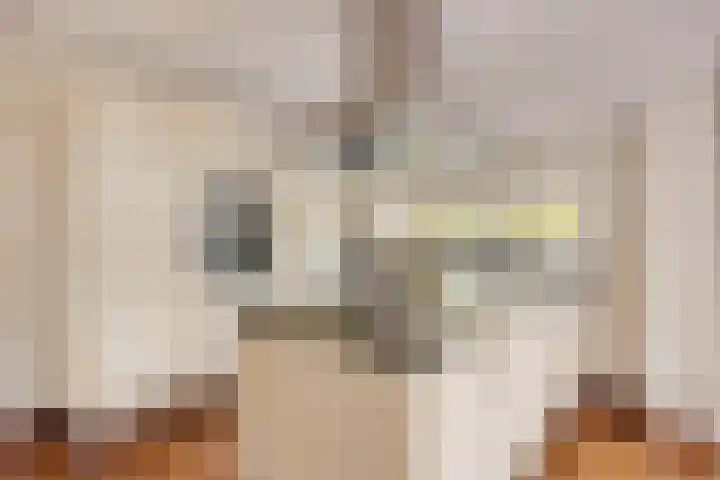 De Eiken 20 Boekel thumbnail 21