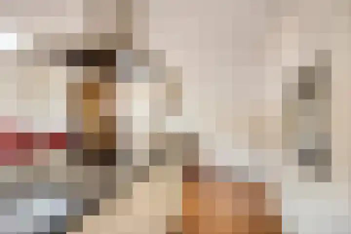 De Eiken 20 Boekel thumbnail 23