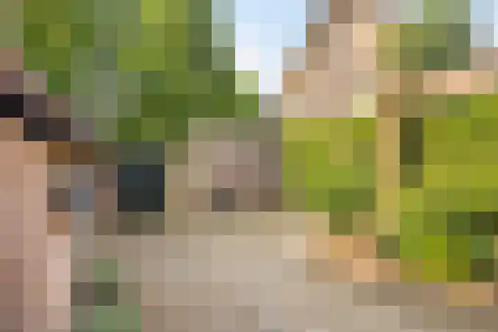 De Eiken 20 Boekel thumbnail 37