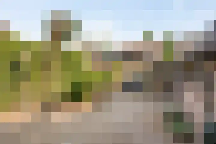 De Eiken 20 Boekel thumbnail 38