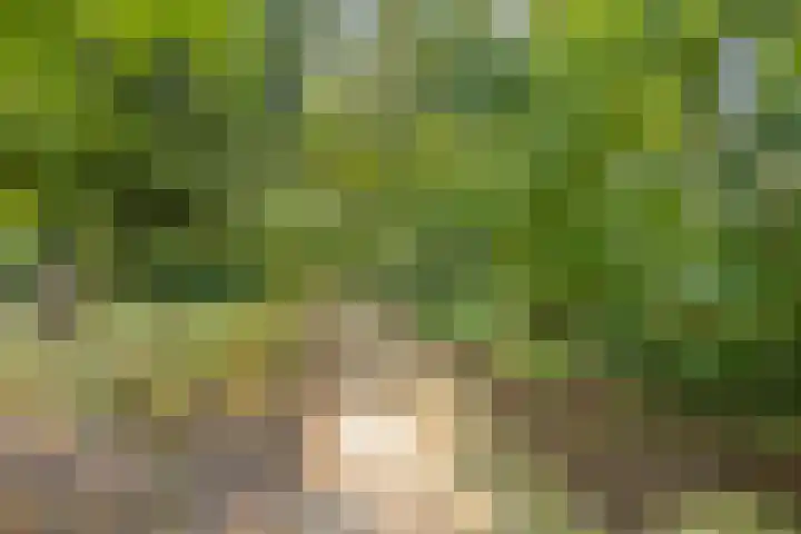 De Eiken 20 Boekel thumbnail 43