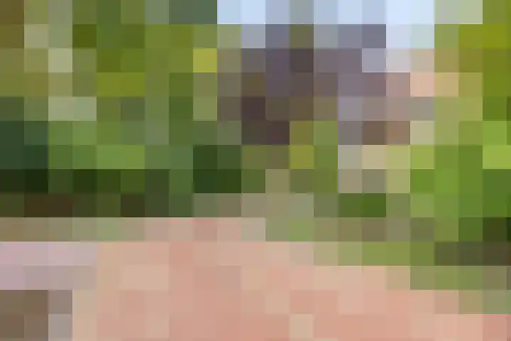 De Eiken 20 Boekel thumbnail 7