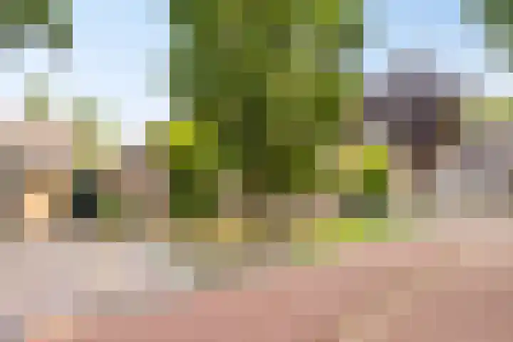 De Eiken 20 Boekel thumbnail 8
