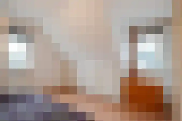 De Eiken 21 Steenderen thumbnail 15