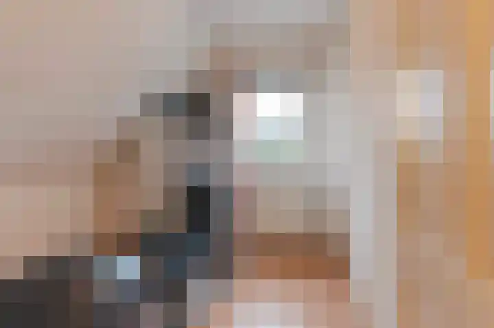 De Eiken 21 Steenderen thumbnail 17
