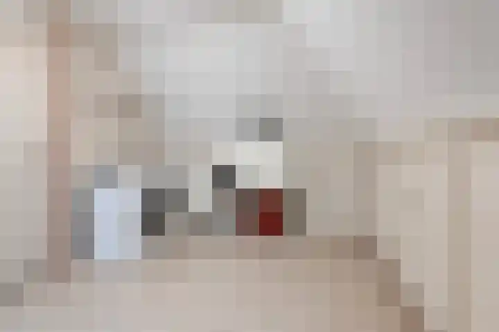 De Eiken 21 Steenderen thumbnail 20