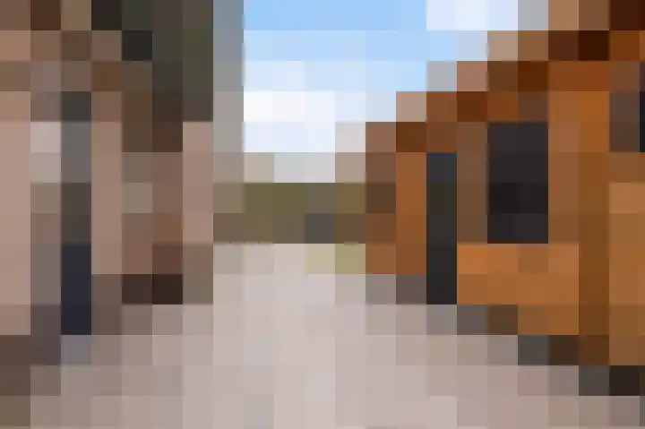De Eiken 21 Steenderen thumbnail 22