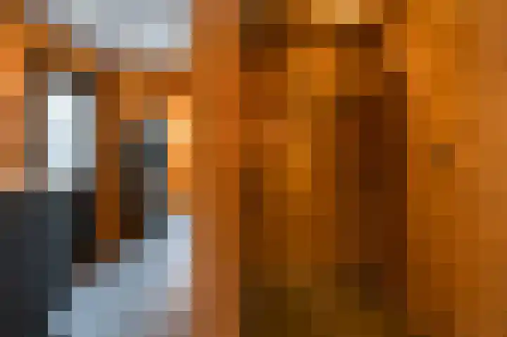 De Eiken 21 Steenderen thumbnail 28