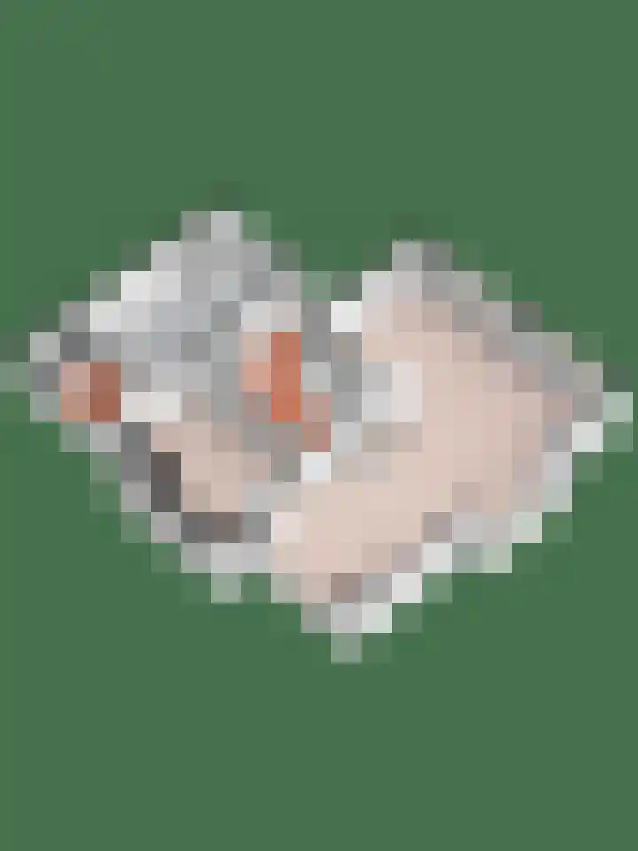 De Eiken 21 Steenderen thumbnail 35