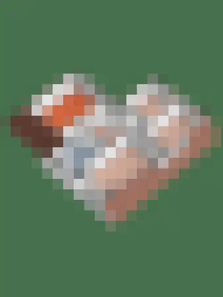 De Eiken 21 Steenderen thumbnail 36