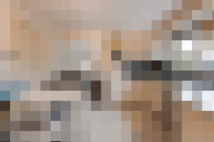 De Eiken 21 Steenderen thumbnail 7