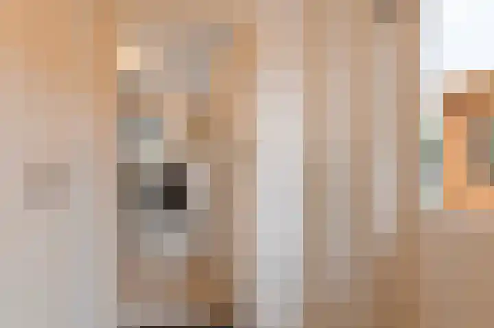 De Eiken 21 Steenderen thumbnail 9