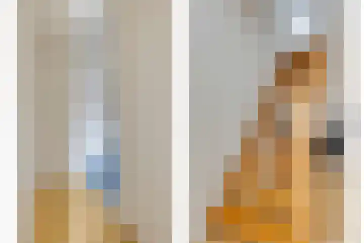 De Eiken 23 Boekel thumbnail 20