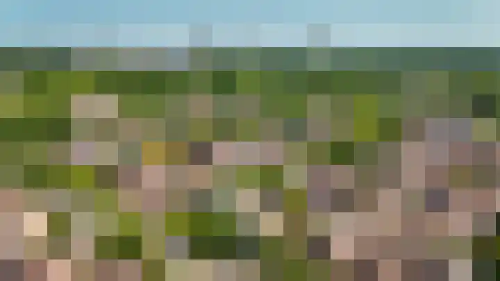 De Eiken 23 Boekel thumbnail 28