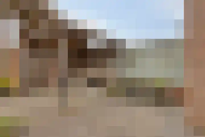 De Eiken 23 Boekel thumbnail 34