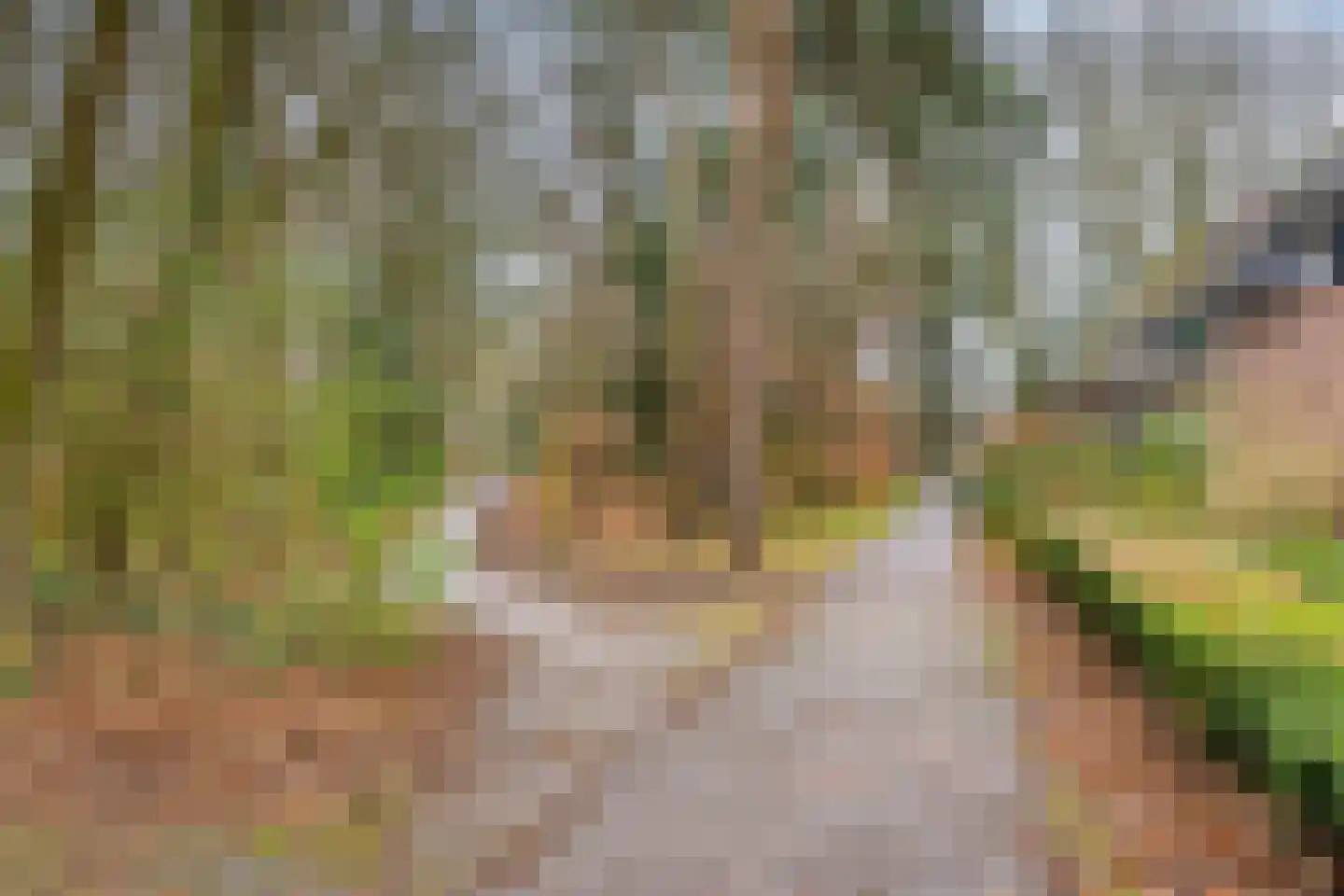 De Eiken 23 Boekel thumbnail 37