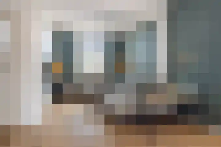 De Eiken 23 Boekel thumbnail 42