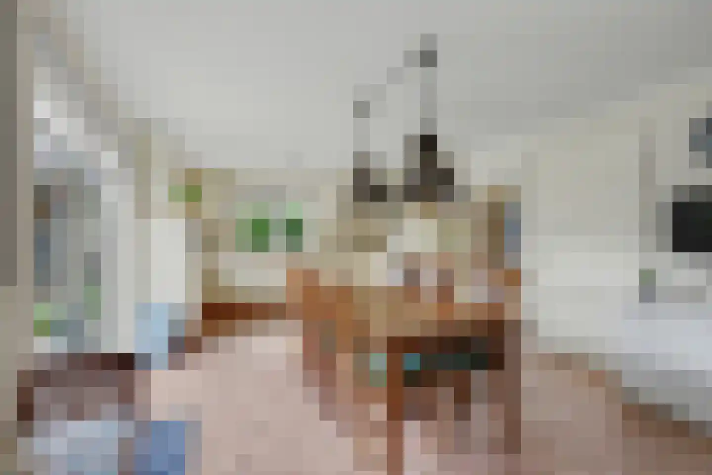 De Eiken 31 Steenderen thumbnail 10