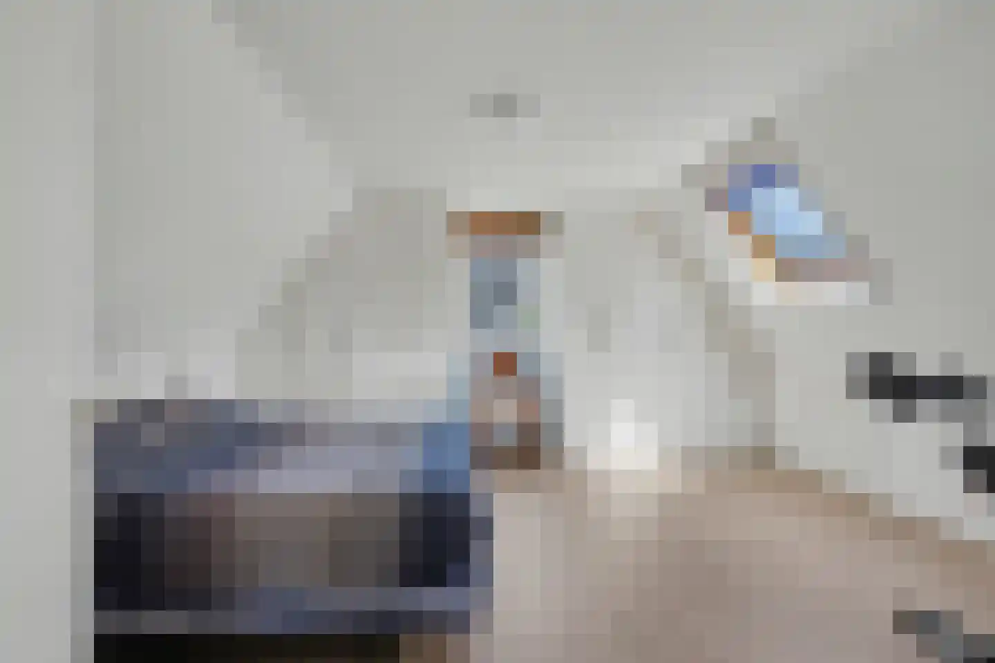 De Eiken 31 Steenderen thumbnail 21