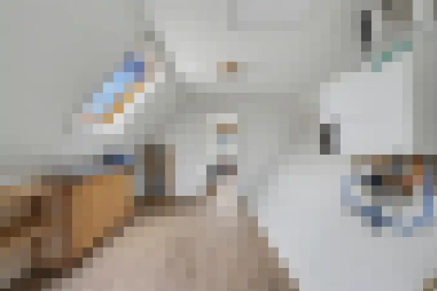 De Eiken 31 Steenderen thumbnail 27