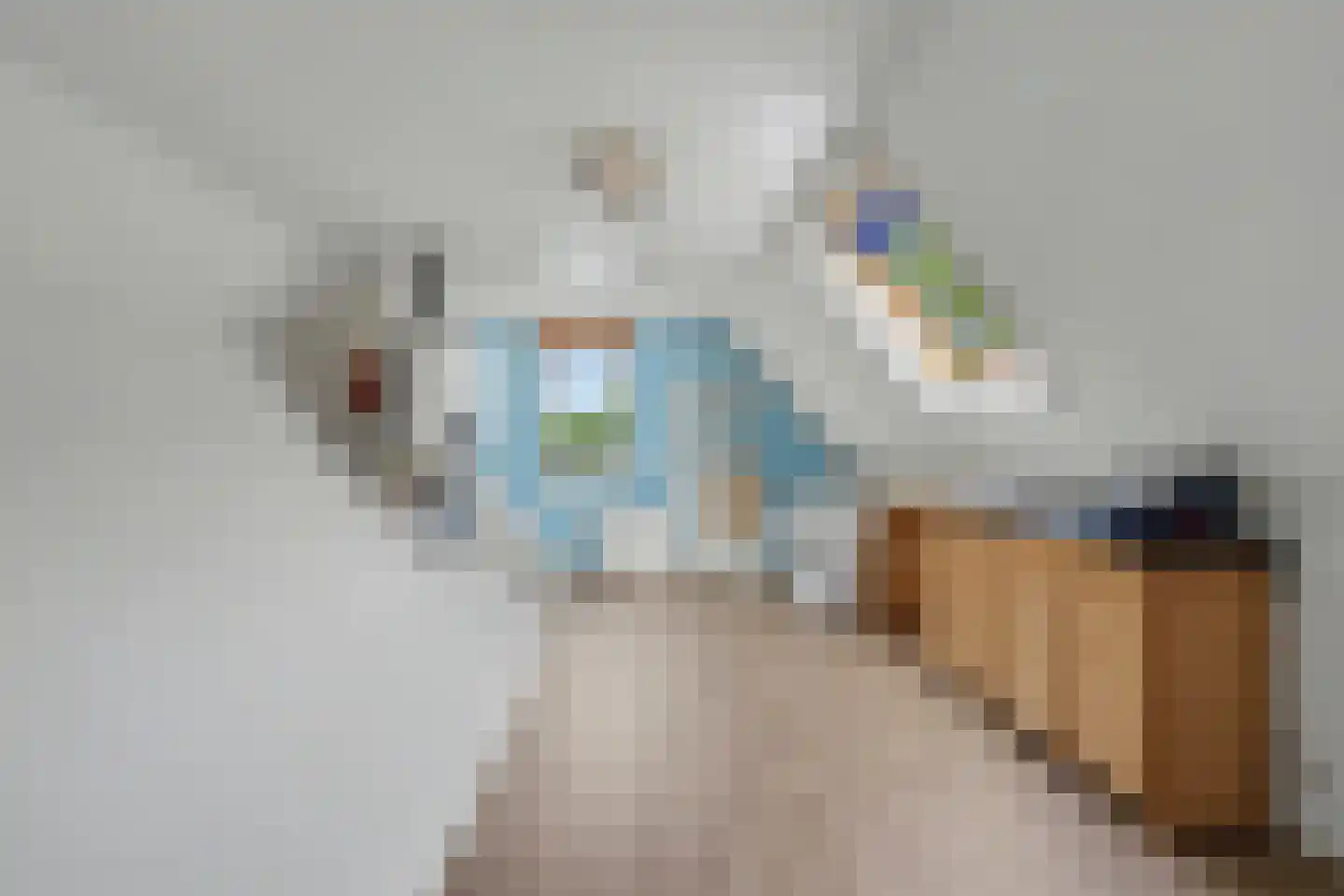 De Eiken 31 Steenderen thumbnail 28