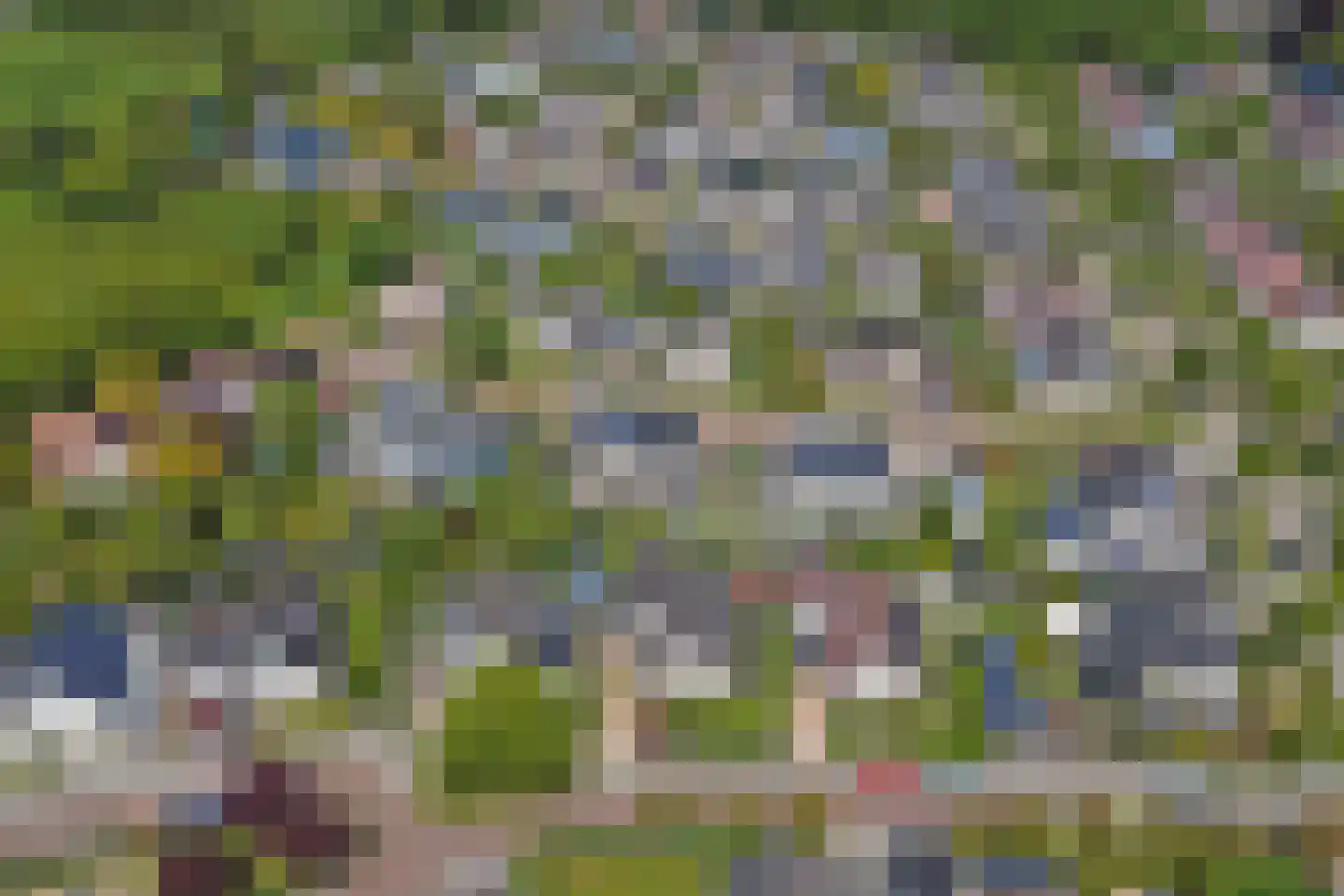 De Eiken 31 Steenderen foto 3