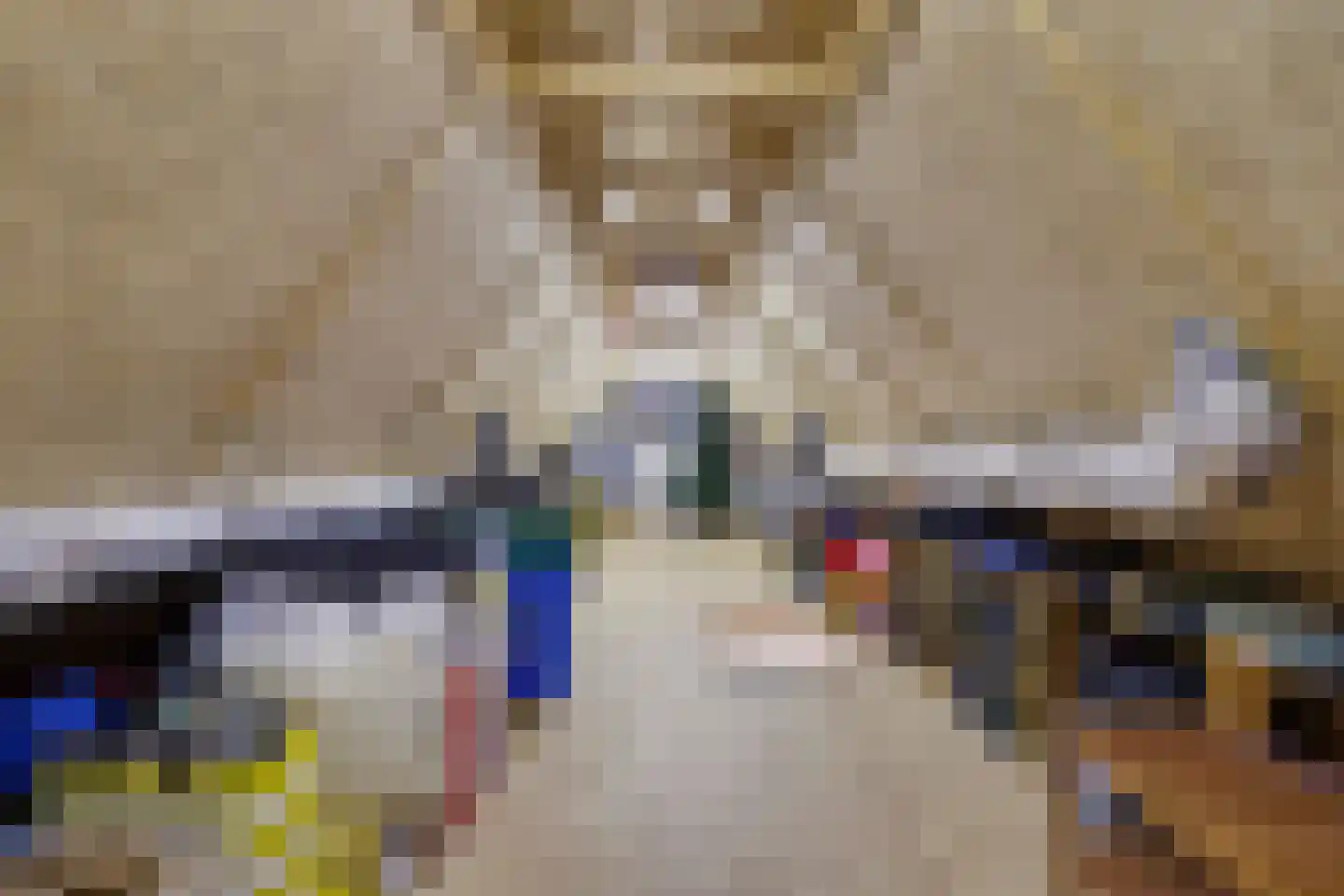 De Eiken 31 Steenderen thumbnail 34