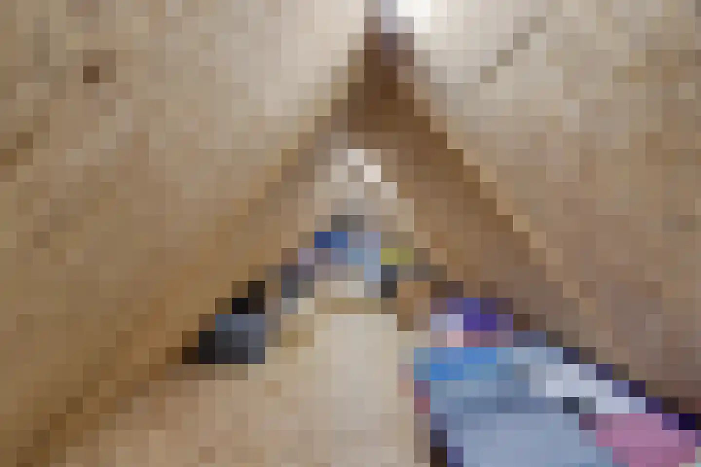 De Eiken 31 Steenderen thumbnail 38