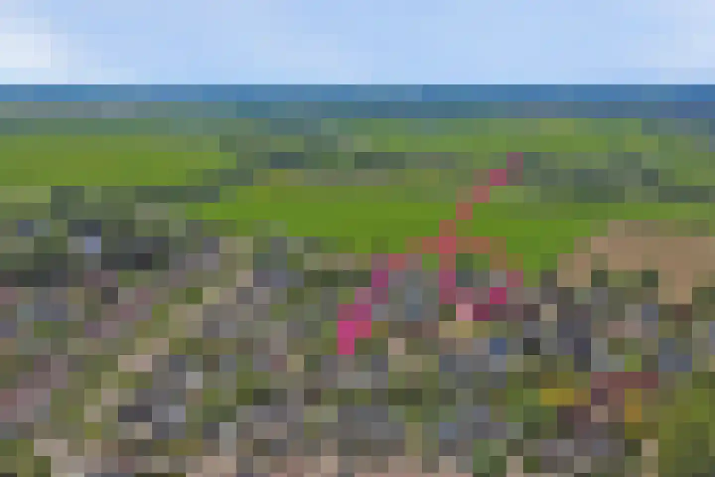 De Eiken 31 Steenderen thumbnail 40