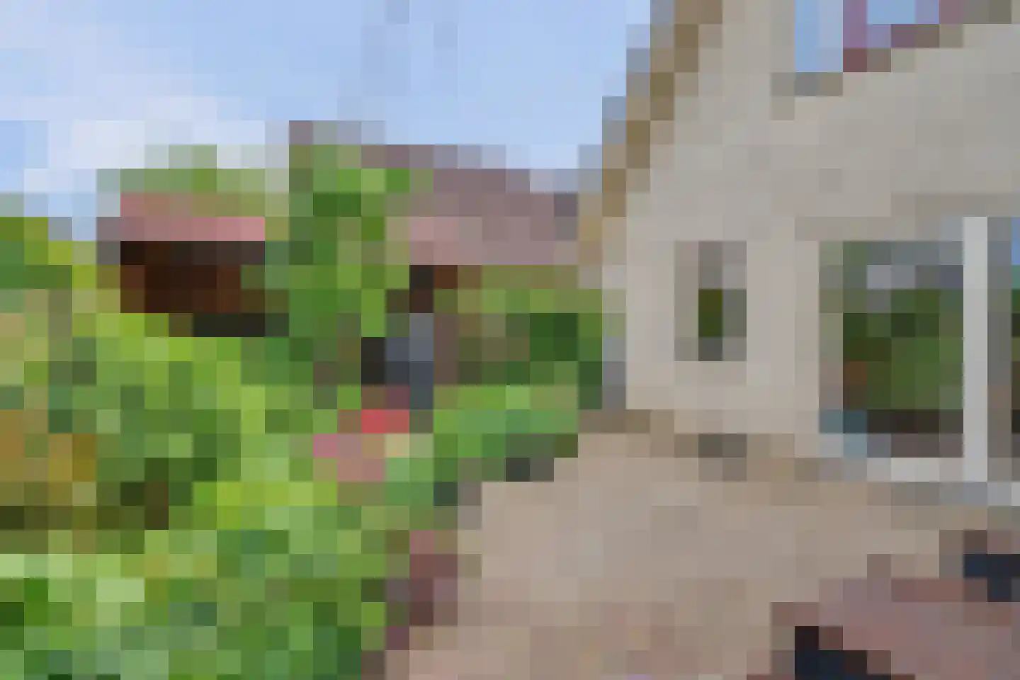 De Eiken 31 Steenderen thumbnail 43