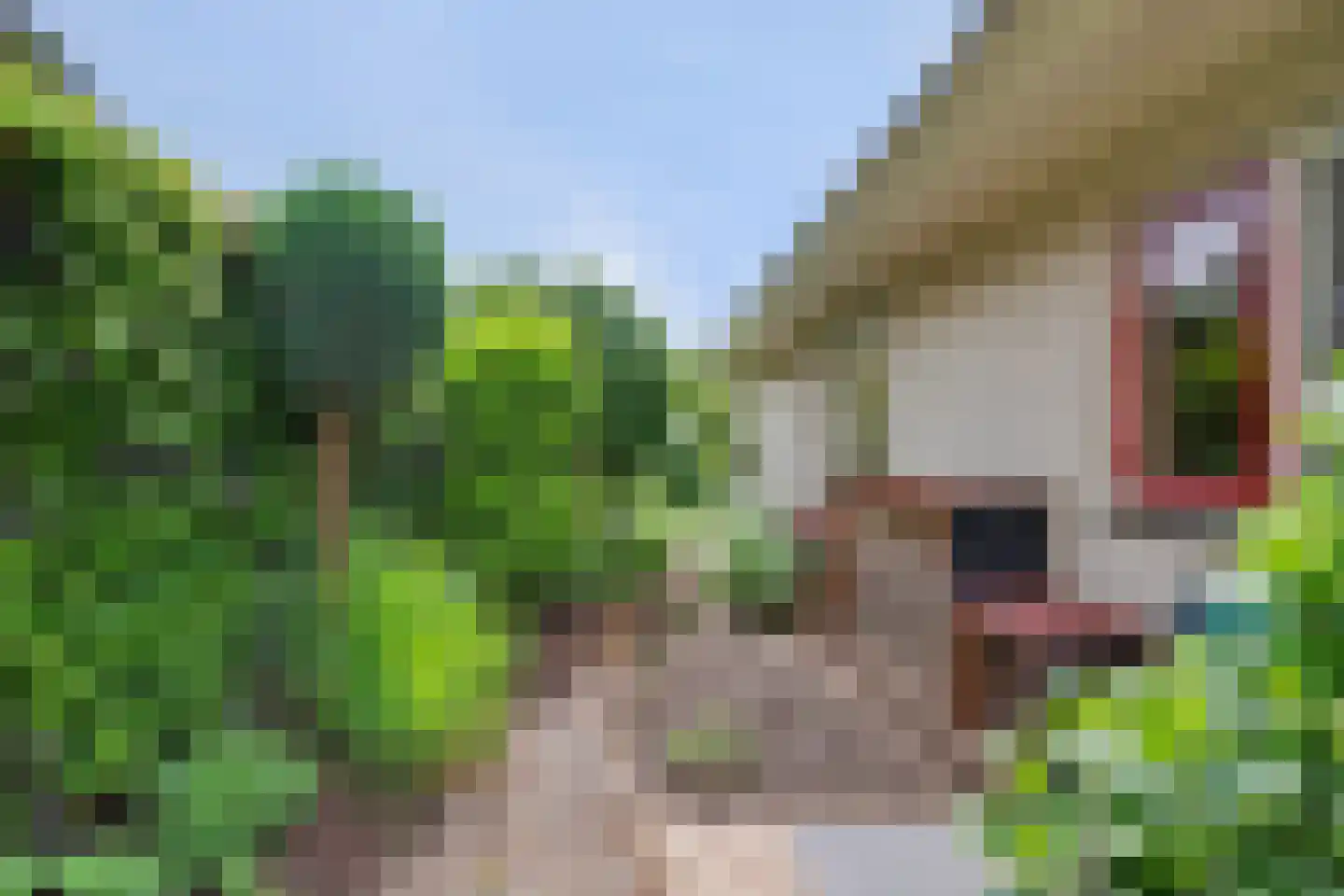 De Eiken 31 Steenderen thumbnail 46