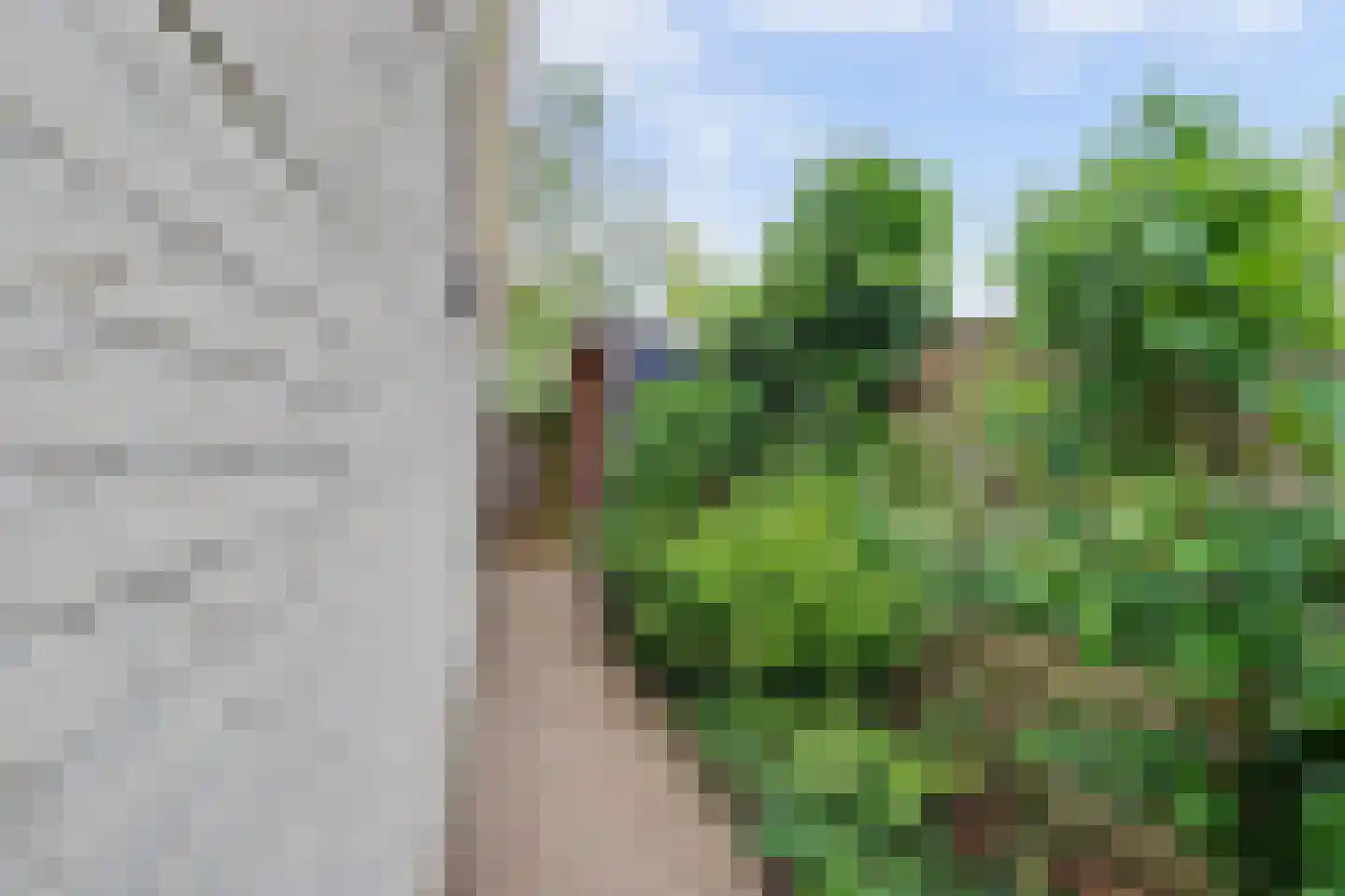 De Eiken 31 Steenderen thumbnail 47
