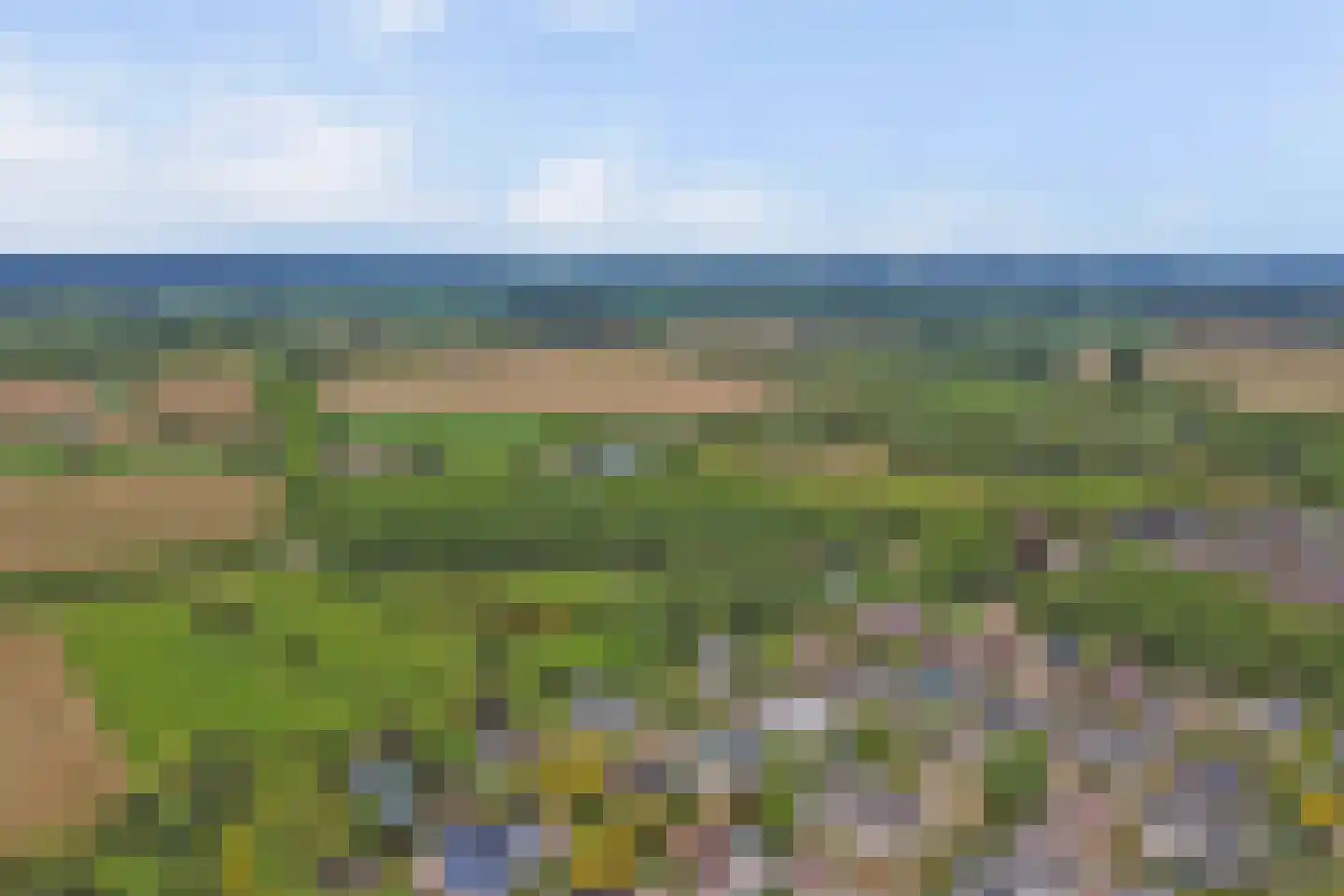 De Eiken 31 Steenderen thumbnail 52