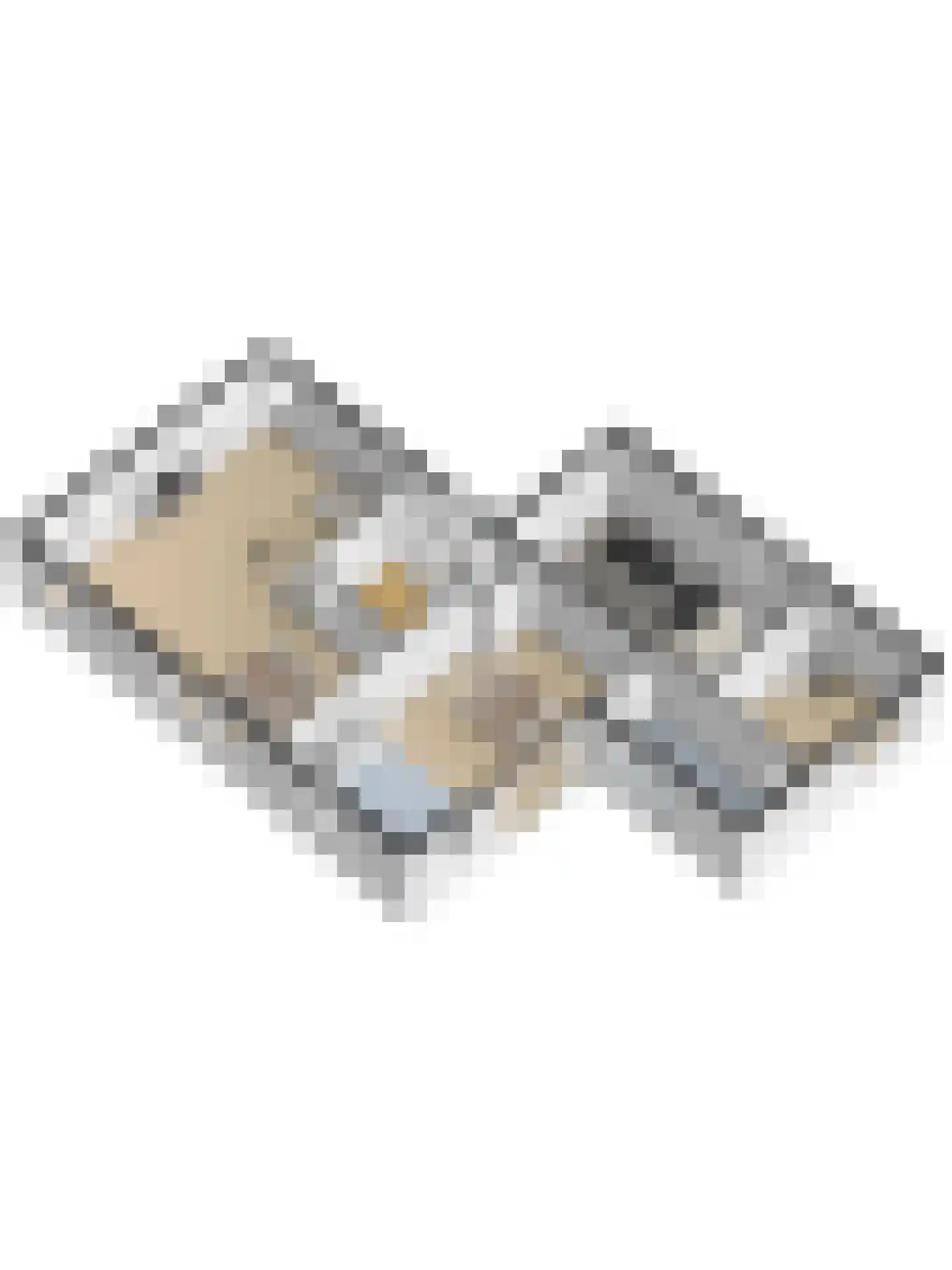 De Eiken 31 Steenderen thumbnail 58