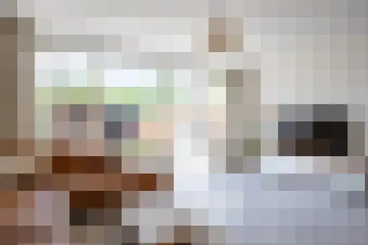De Eiken 39 Bedum thumbnail 13