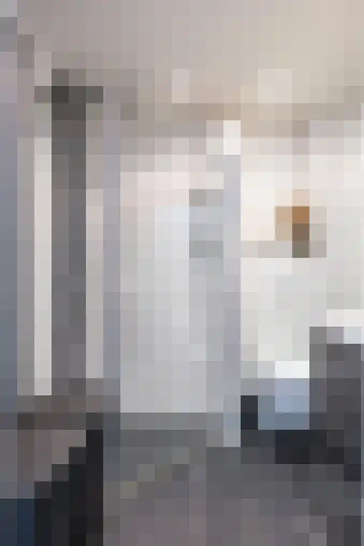 De Eiken 39 Bedum thumbnail 32