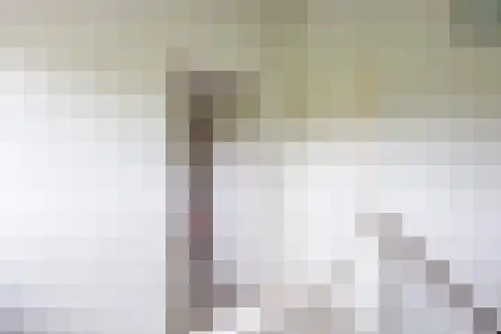 De Eiken 39 Bedum thumbnail 35