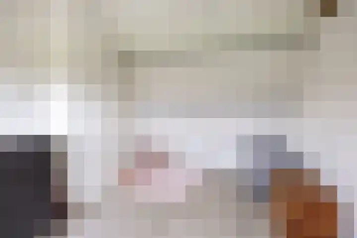 De Eiken 39 Bedum thumbnail 36
