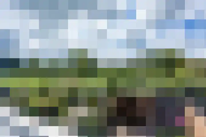 De Eiken 39 Bedum thumbnail 39