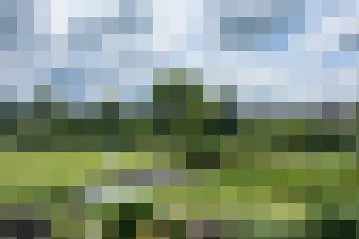 De Eiken 39 Bedum thumbnail 40