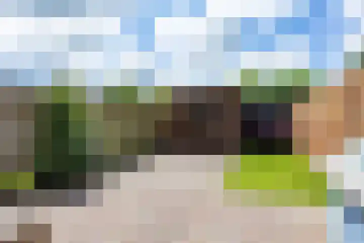 De Eiken 39 Bedum thumbnail 42