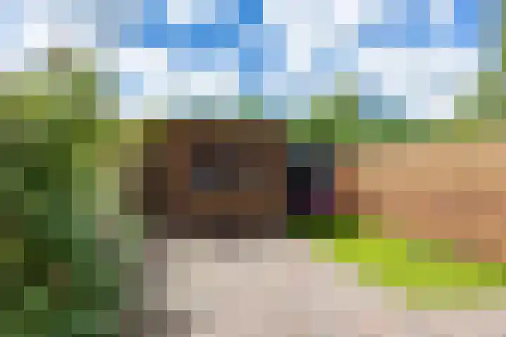 De Eiken 39 Bedum thumbnail 43