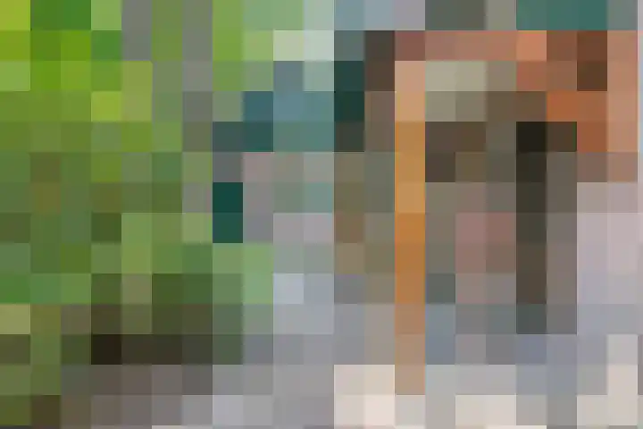 De Eiken 43 Boekel thumbnail 11