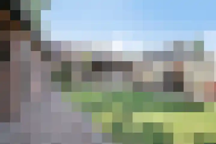 De Eiken 43 Boekel thumbnail 45