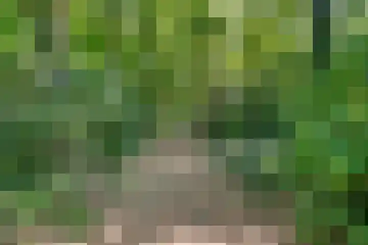 De Eiken 43 Boekel thumbnail 57