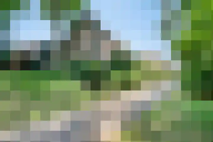De Eiken 43 Boekel thumbnail 9