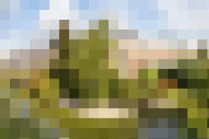 De Eilanden 20 Bergschenhoek