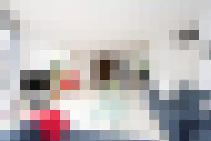 De Eilanden 20 Bergschenhoek thumbnail 12