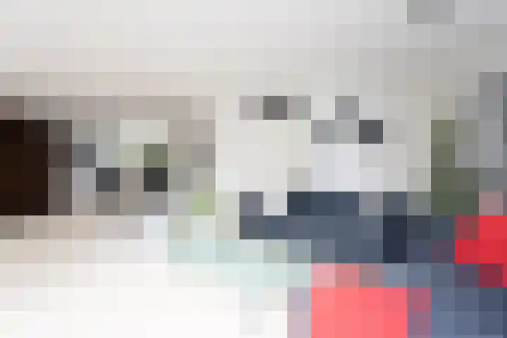 De Eilanden 20 Bergschenhoek thumbnail 13
