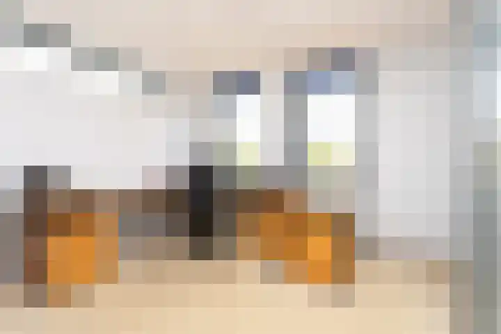 De Eilanden 20 Bergschenhoek thumbnail 27
